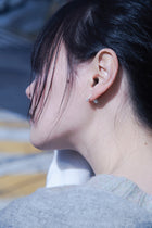 Magnetic earring sequence